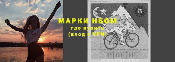 стафф Аркадак