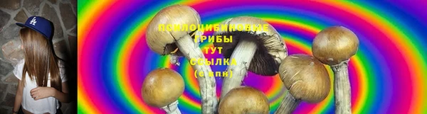 стафф Аркадак
