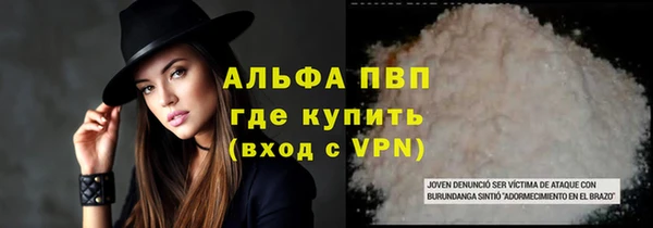 стафф Аркадак