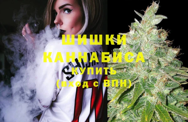 шишки Армянск