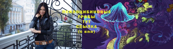 СК Арсеньев