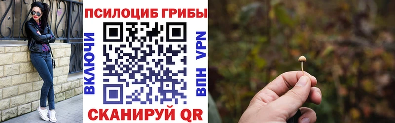 Псилоцибиновые грибы Cubensis  даркнет официальный сайт  Певек  сколько стоит 